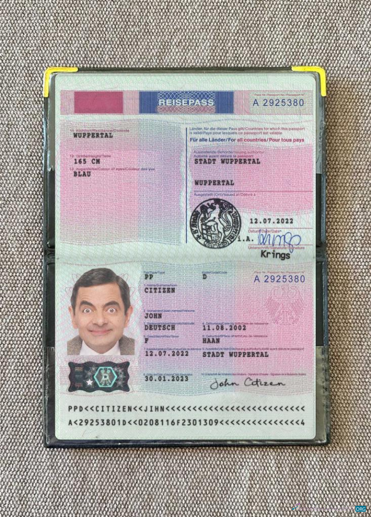 Download Germany passport 2022 present photolook Photoshop template